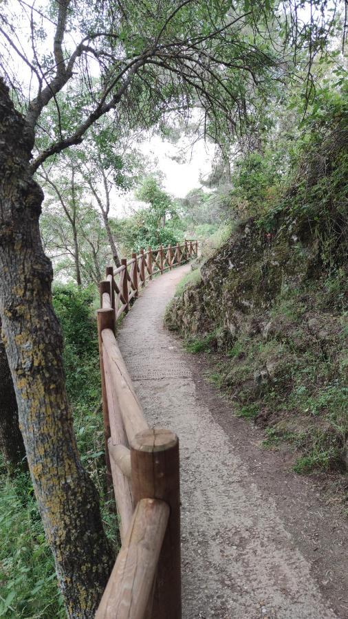 Puente Viejo De Buitrago Casa Encina Appartement Buitrago del Lozoya Buitenkant foto